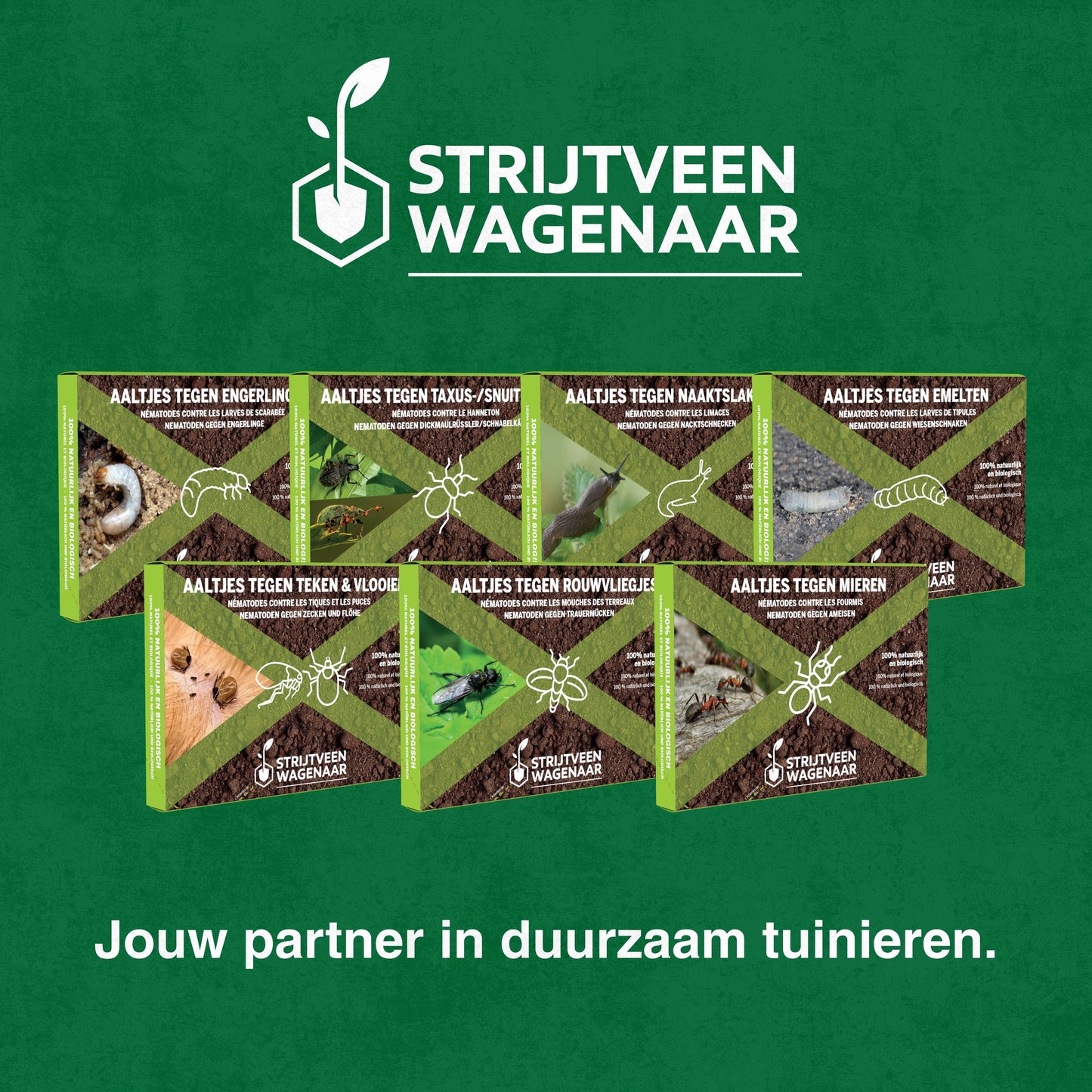 Aaltjes tegen Taxuskevers