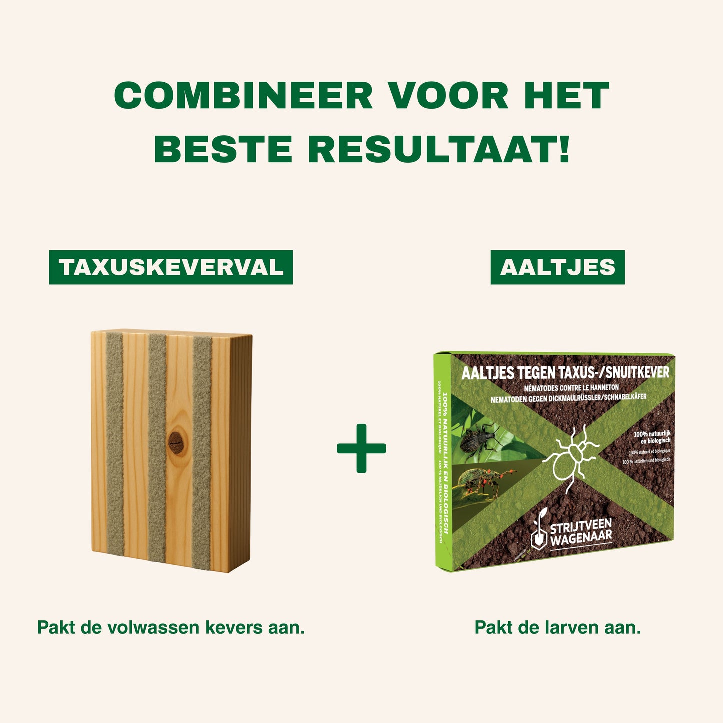 Strijtveen & Wagenaar Taxuskeverval + Aaltjes