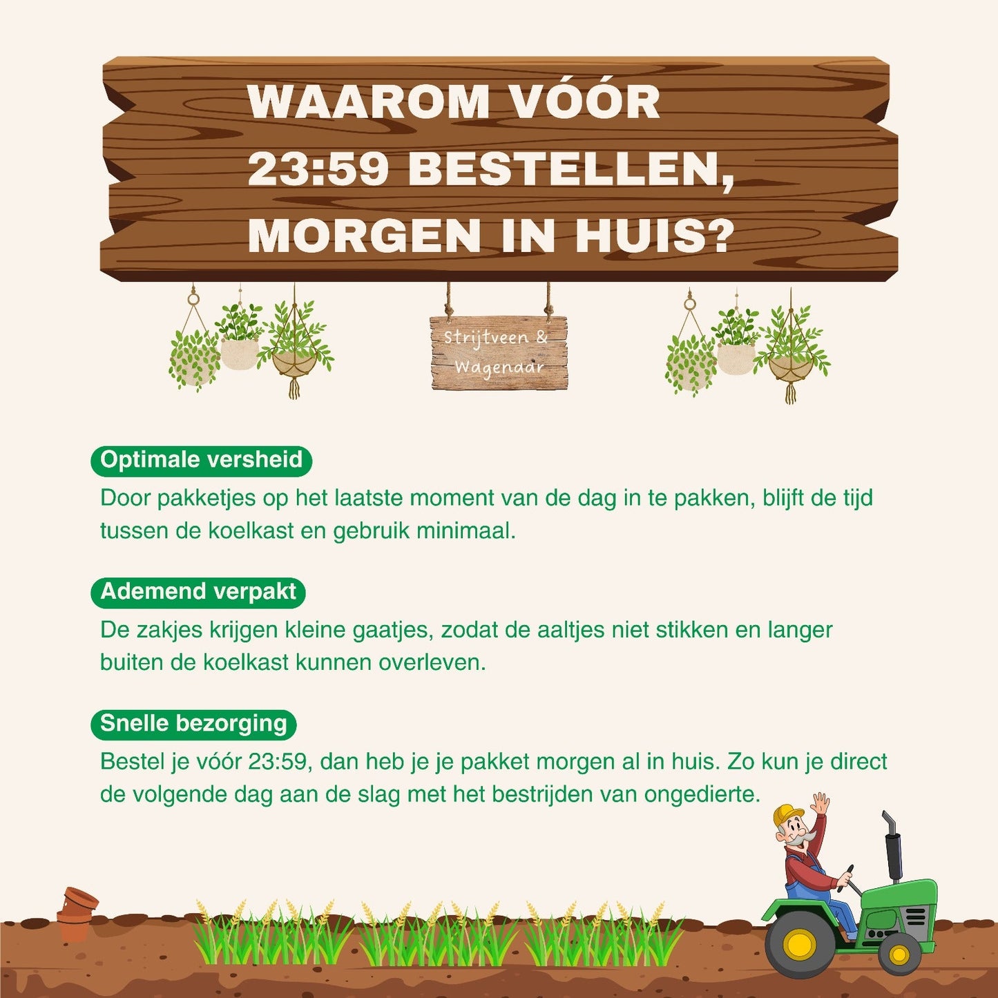 bezorg belofte aaltjes