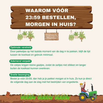 bezorg belofte aaltjes