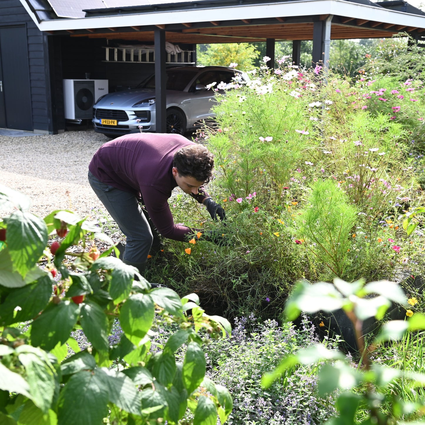 Aaltjes tegen Slakken