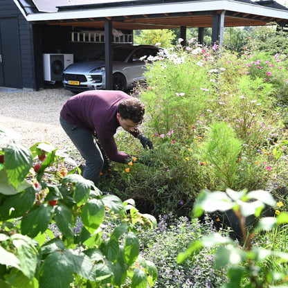 Aaltjes tegen Slakken