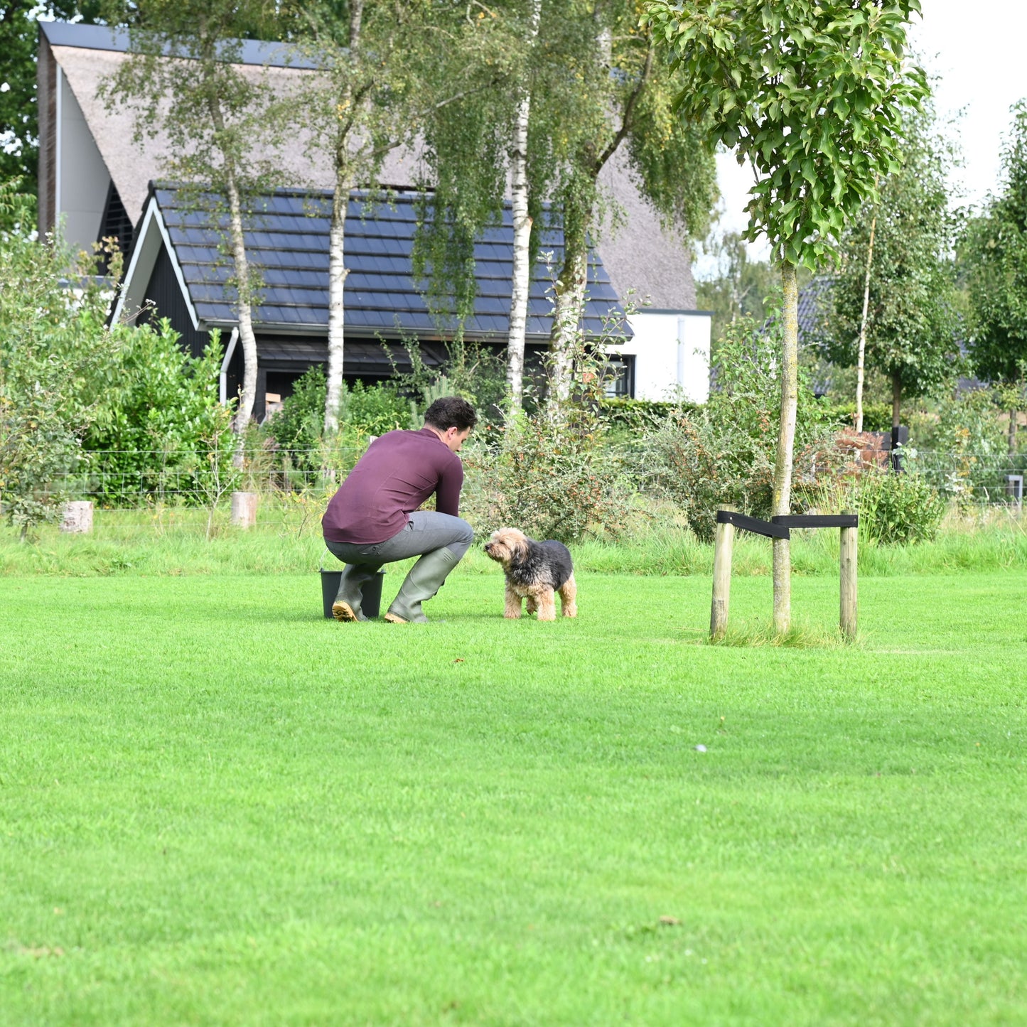 Aaltjes tegen Engerlingen