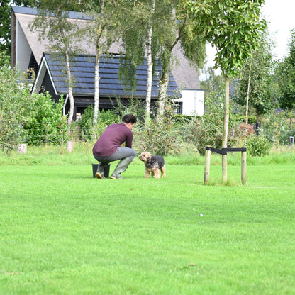 Aaltjes tegen Engerlingen