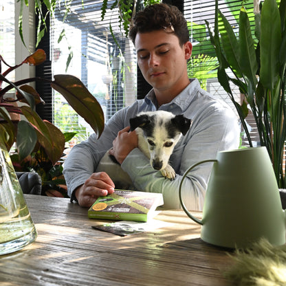 Aaltjes tegen Rouwvliegjes