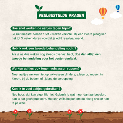 Aaltjes tegen Rupsen