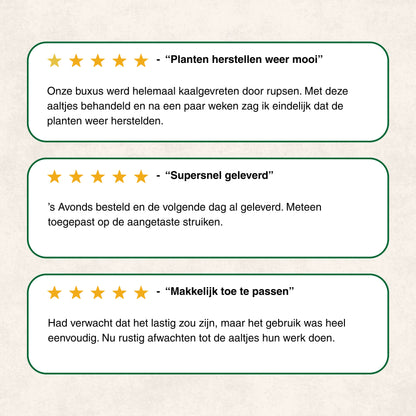 Aaltjes tegen Rupsen