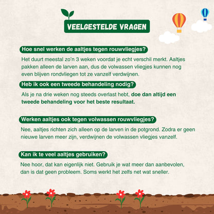 Aaltjes tegen Rouwvliegjes