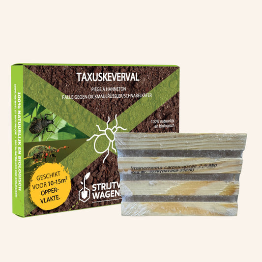Strijtveen & Wagenaar Taxuskeverval
