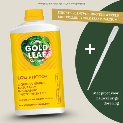 Liquid Gold Leaf Photo+ 250ml