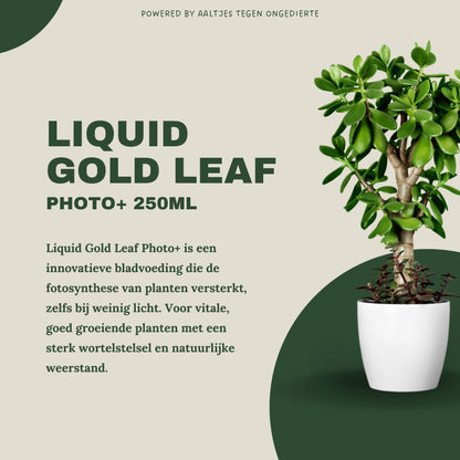 Liquid Gold Leaf Photo+ 250ml