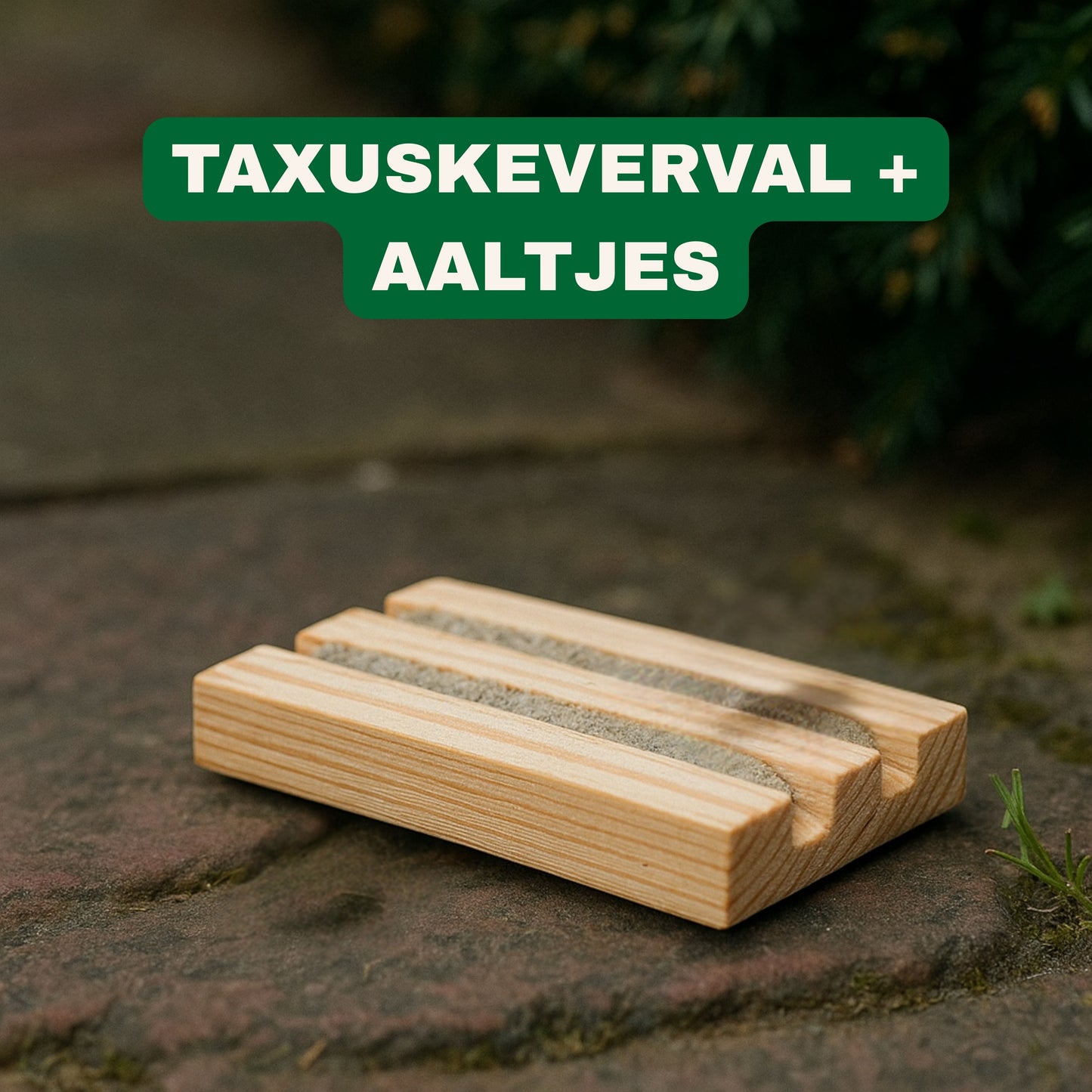 Strijtveen & Wagenaar Taxuskeverval + Aaltjes