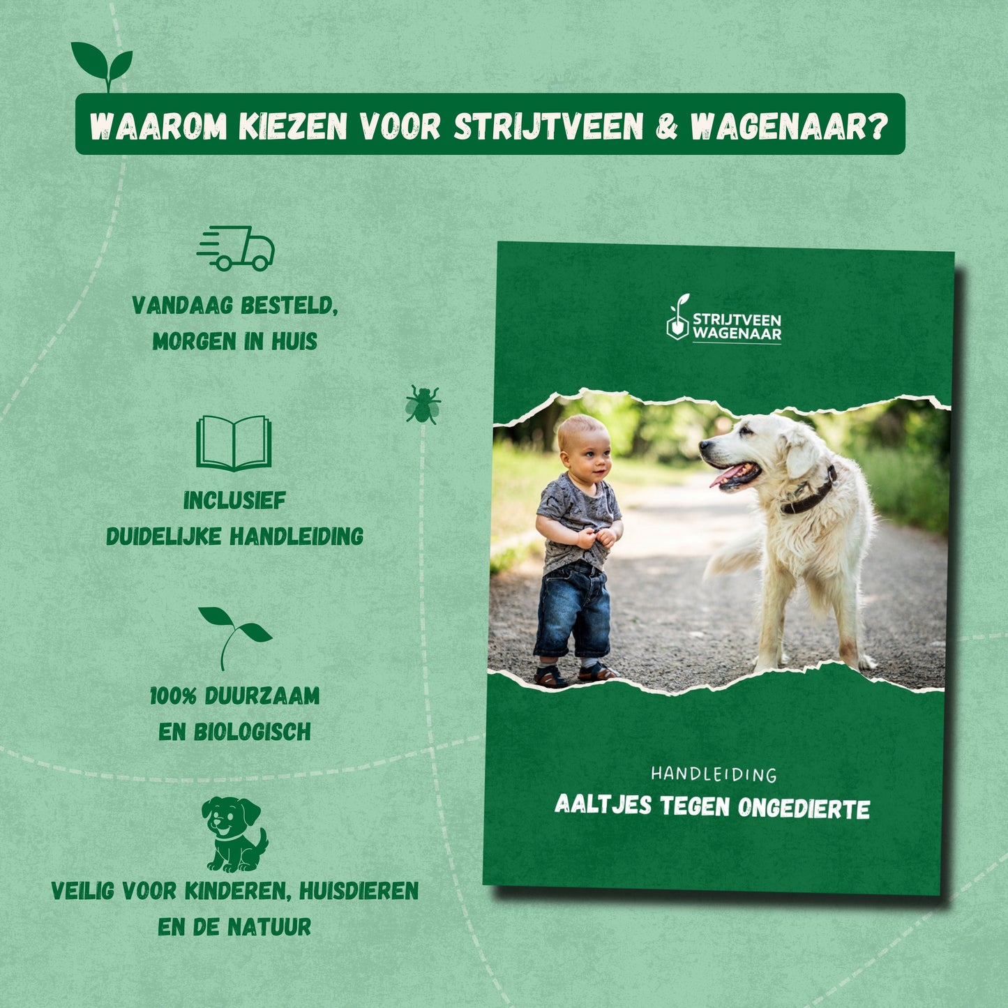 Aaltjes tegen Mieren