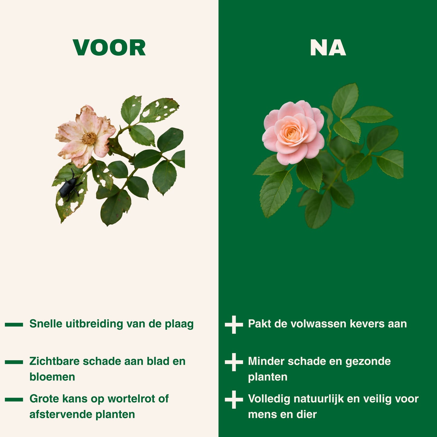 Strijtveen & Wagenaar Taxuskeverval