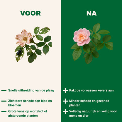 Strijtveen & Wagenaar Taxuskeverval