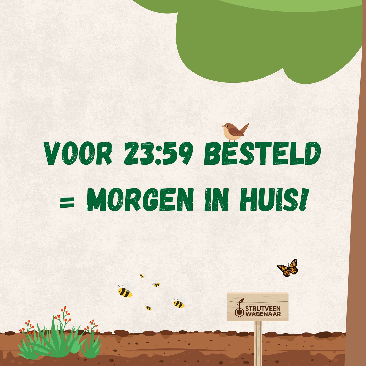 Aaltjes tegen Rupsen