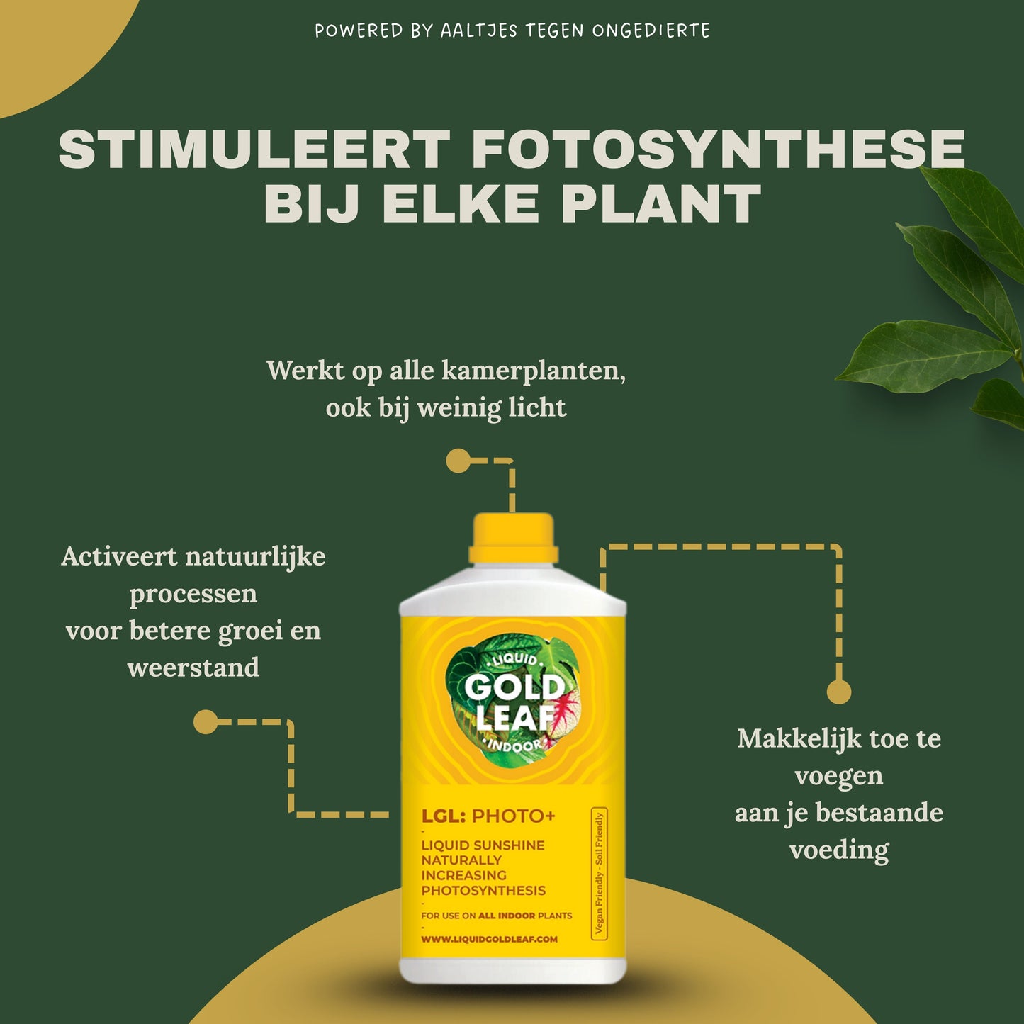 Liquid Gold Leaf Photo+ 250ml