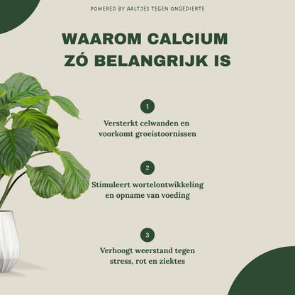 Liquid Gold Leaf Plant Food