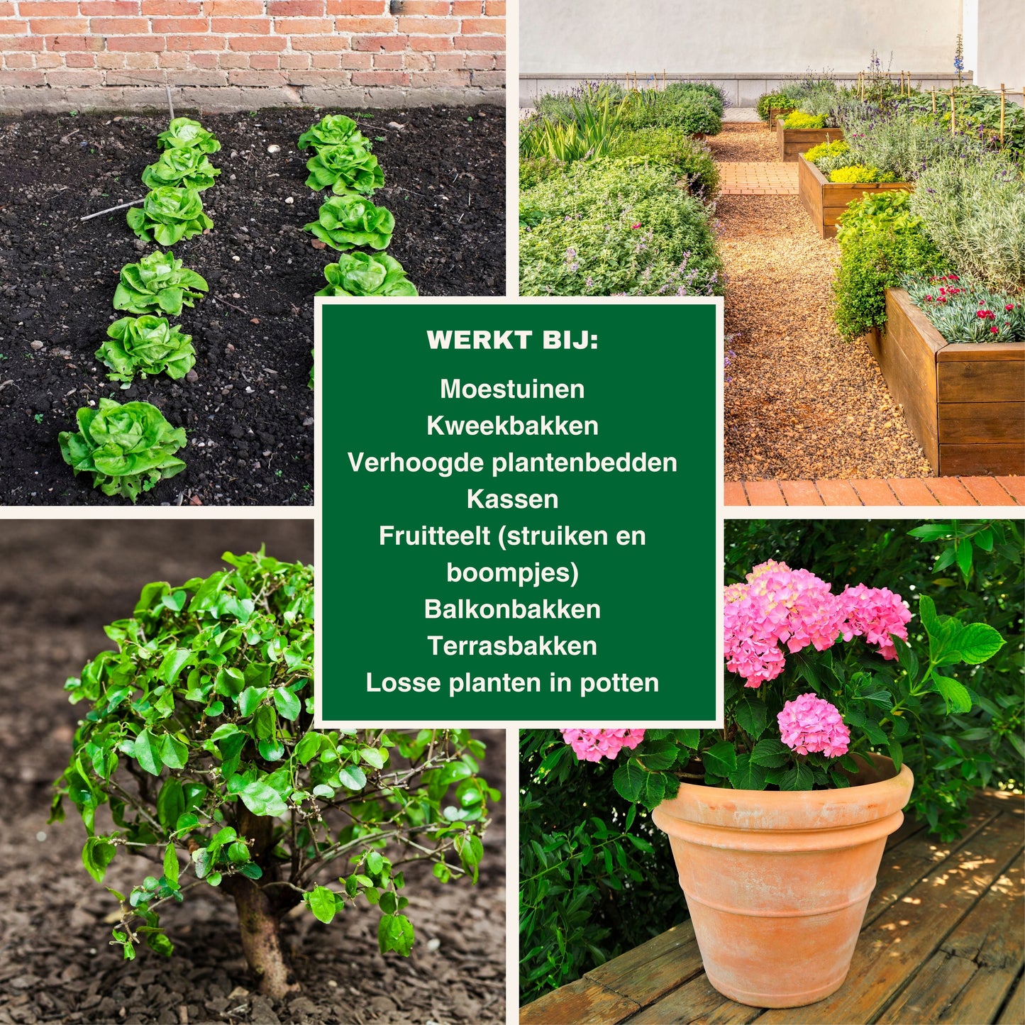 Strijtveen & Wagenaar Taxuskeverval