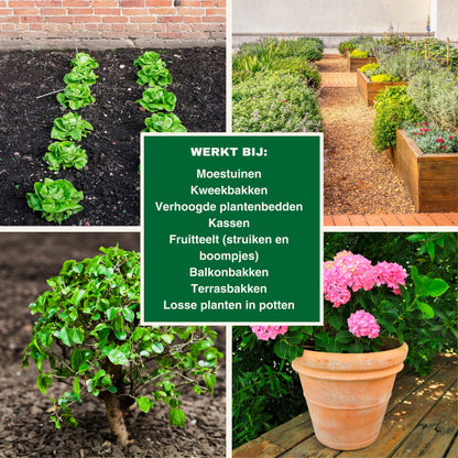 Strijtveen & Wagenaar Taxuskeverval