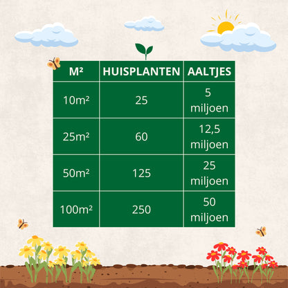 Aaltjes tegen Rouwvliegjes