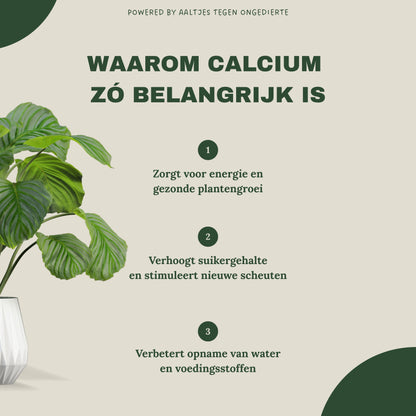 Liquid Gold Leaf Photo+ 250ml