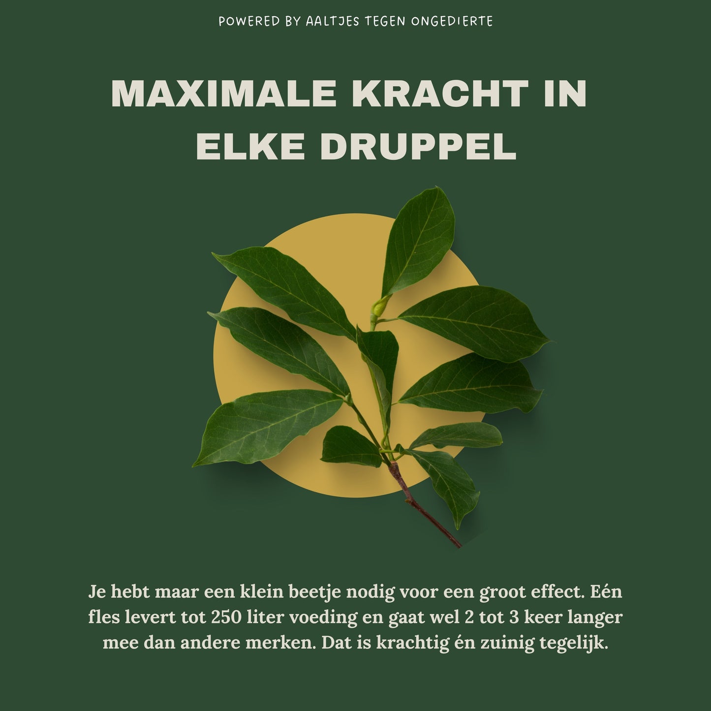 Liquid Gold Leaf Plant Food