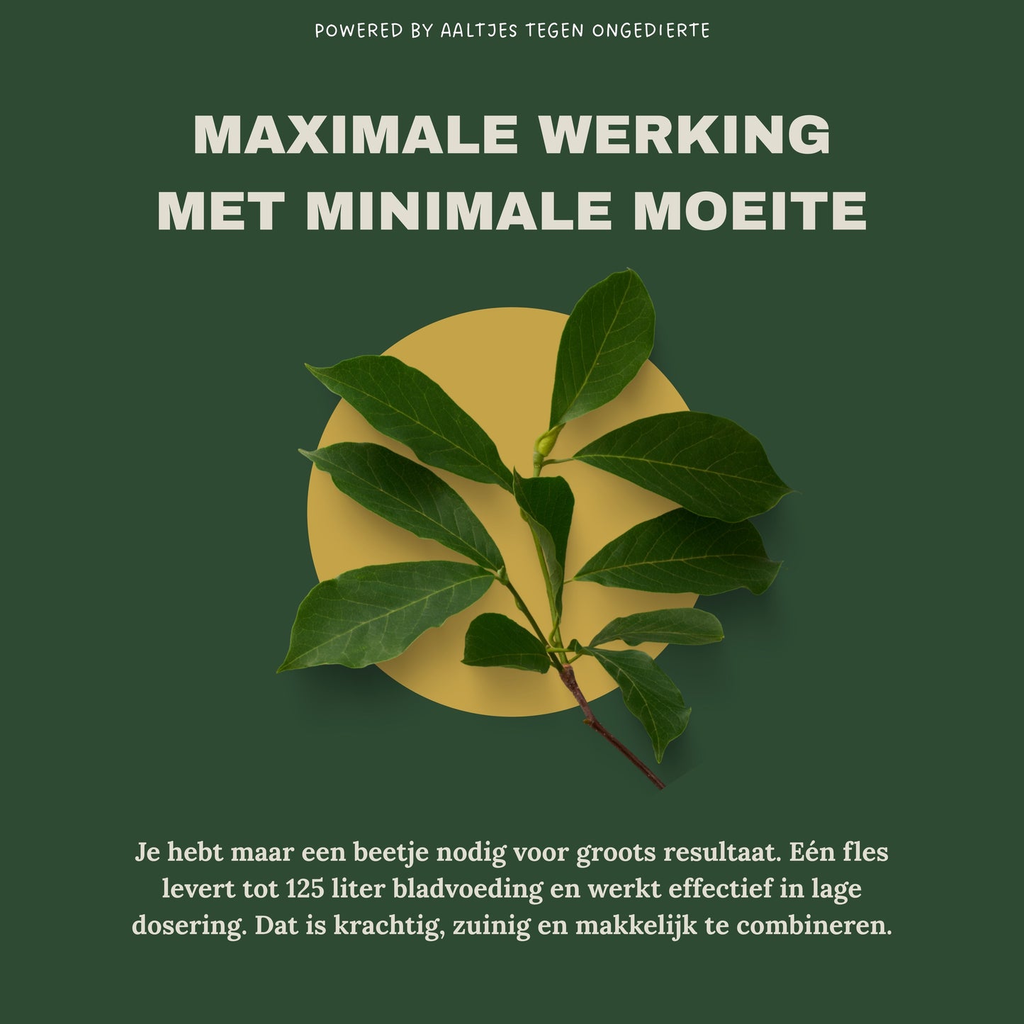 Liquid Gold Leaf Photo+ 250ml