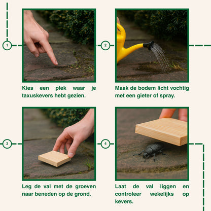 Strijtveen & Wagenaar Taxuskeverval