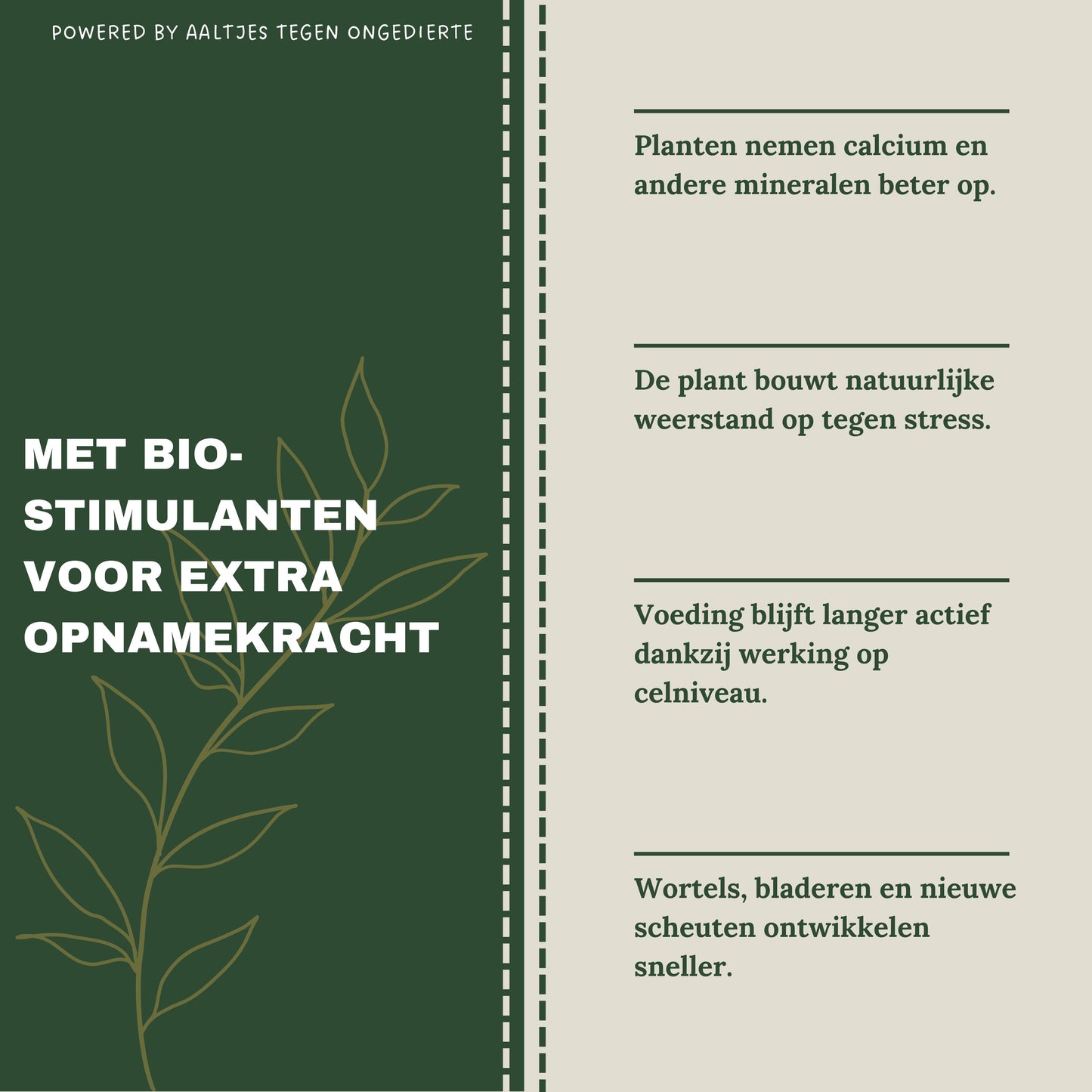 Liquid Gold Leaf Plant Food