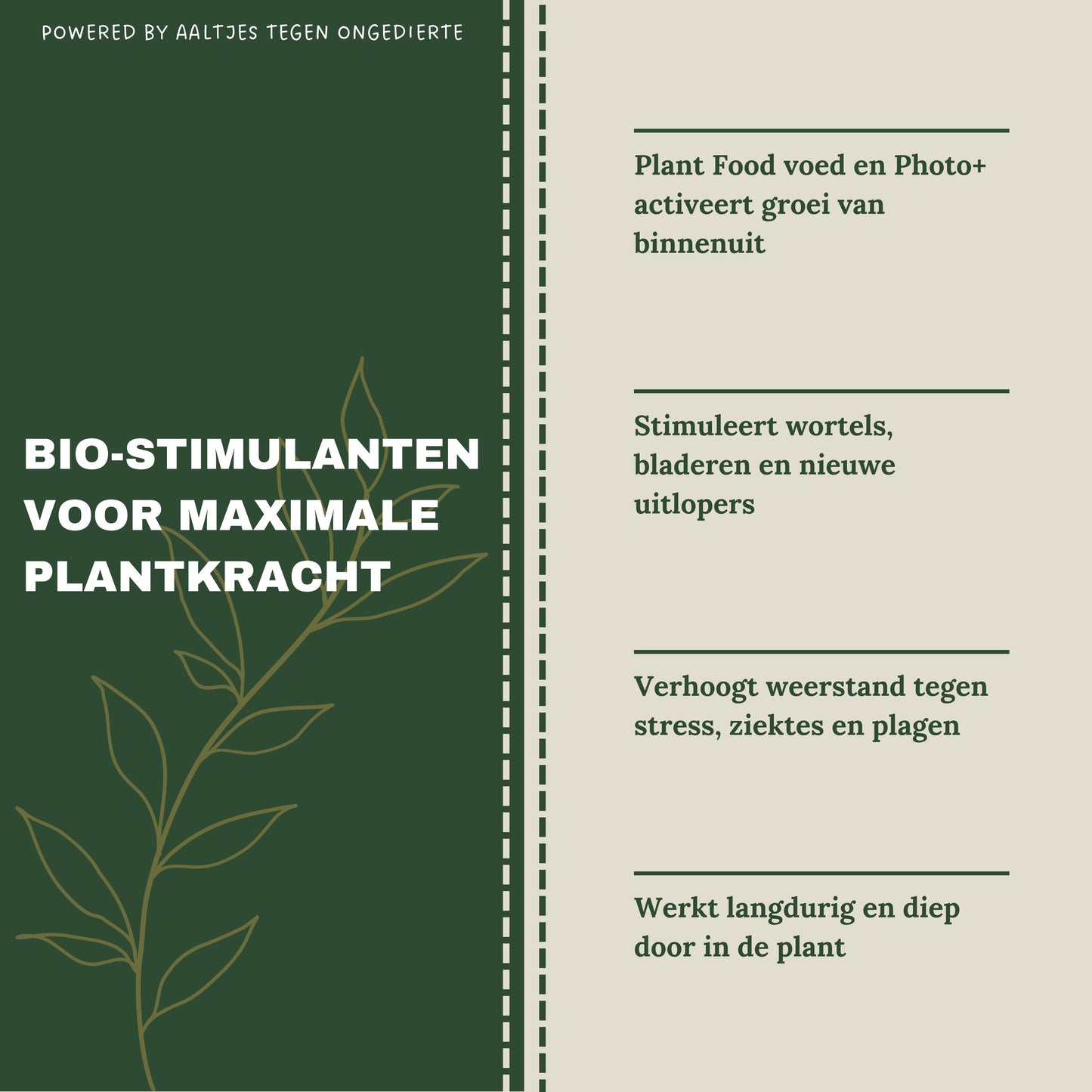 Liquid Gold Leaf Plant Food+ Liquid Gold Leaf Photo+ (2x 250ml)