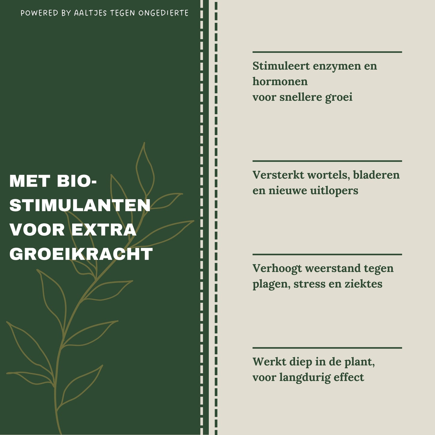 Liquid Gold Leaf Photo+ 250ml