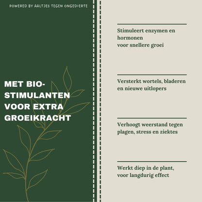 Liquid Gold Leaf Photo+ 250ml