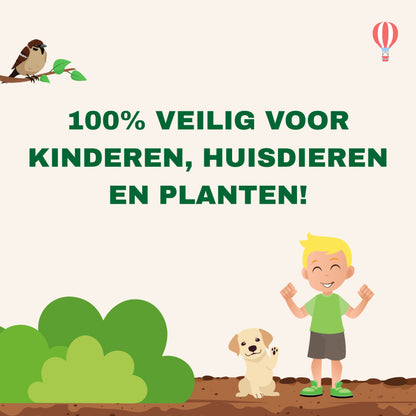 Strijtveen & Wagenaar Taxuskeverval