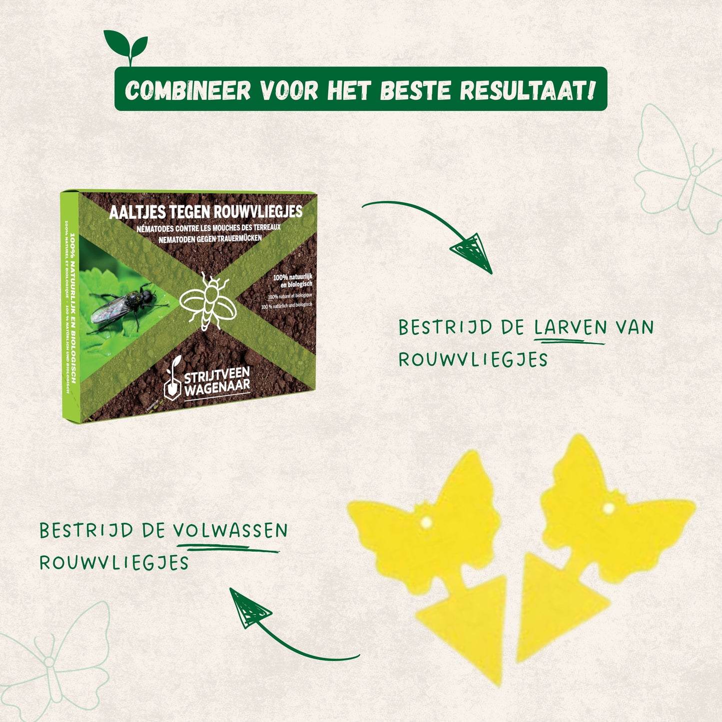 Aaltjes tegen Rouwvliegjes