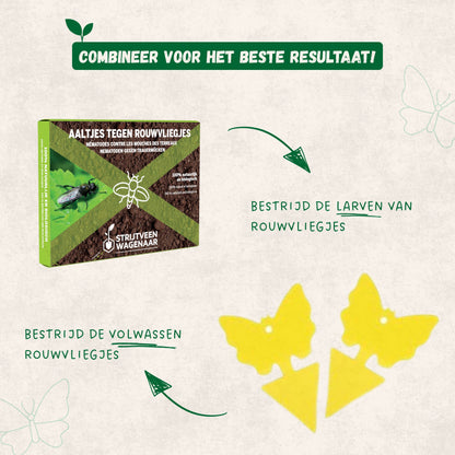 Aaltjes tegen Rouwvliegjes