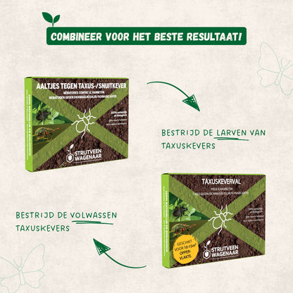 Aaltjes tegen Taxuskevers