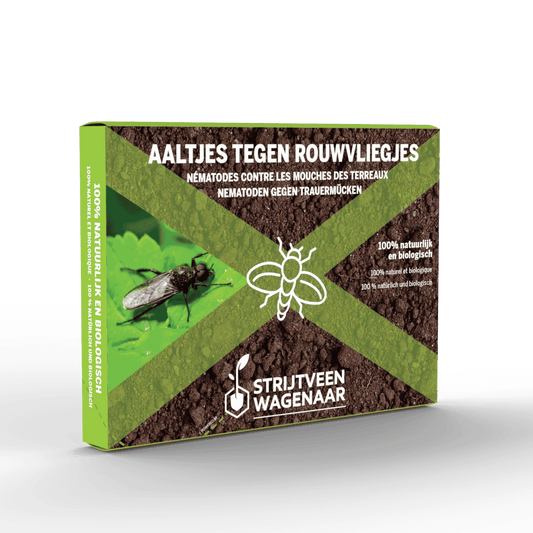 Aaltjes tegen Rouwvliegjes