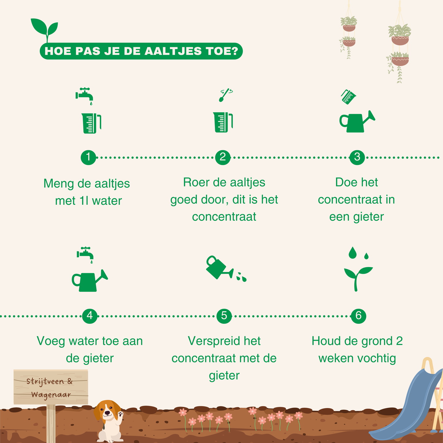 stap voor stap gids voor aaltjes 