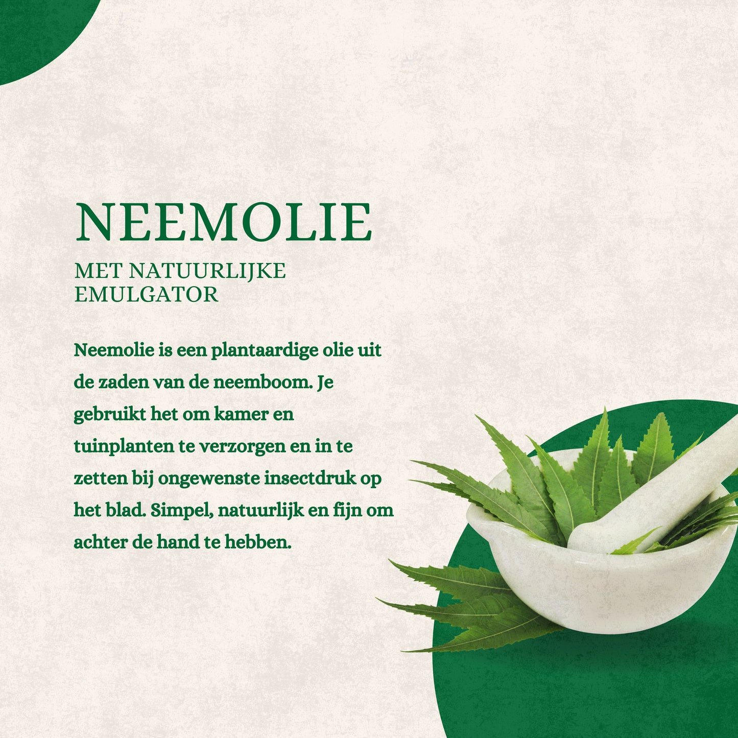 Neemolie