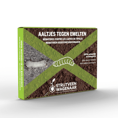 Aaltjes tegen Emelten