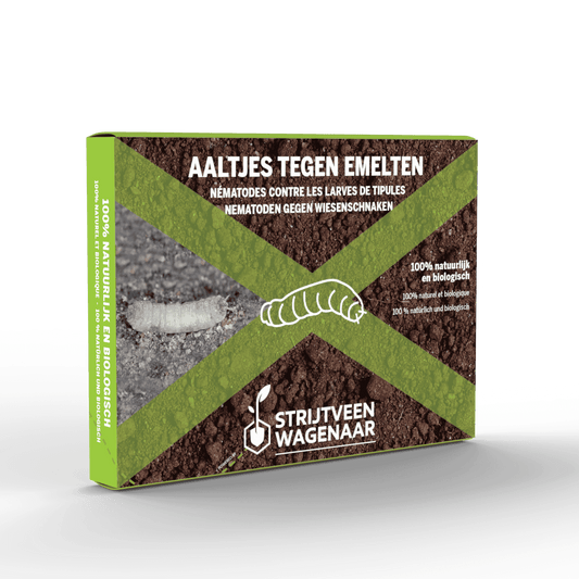 Aaltjes tegen Emelten