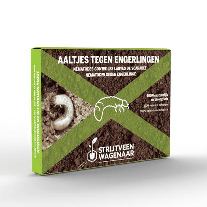 Aaltjes tegen Engerlingen