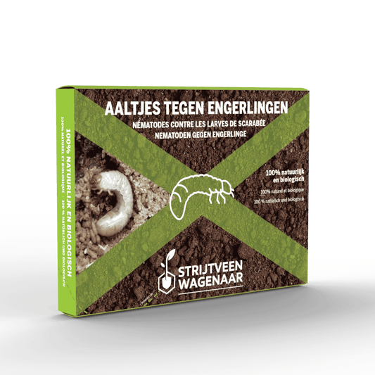 Aaltjes tegen Engerlingen