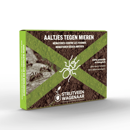 Aaltjes tegen Mieren