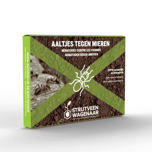 Aaltjes tegen Mieren