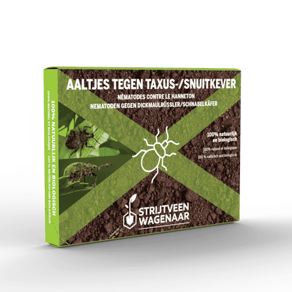 Aaltjes tegen Taxuskevers