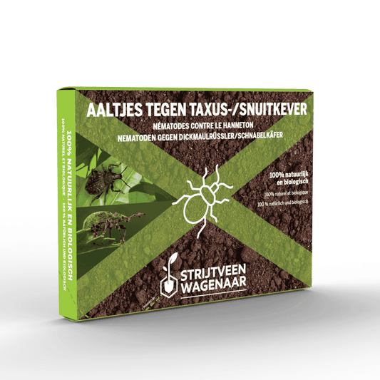Aaltjes tegen Taxuskevers