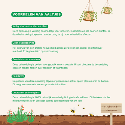 Aaltjes tegen Rouwvlieges en gele vangplaten.